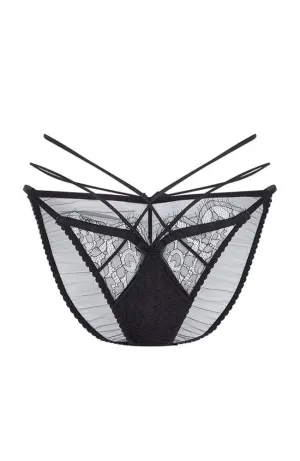 Halley Brief