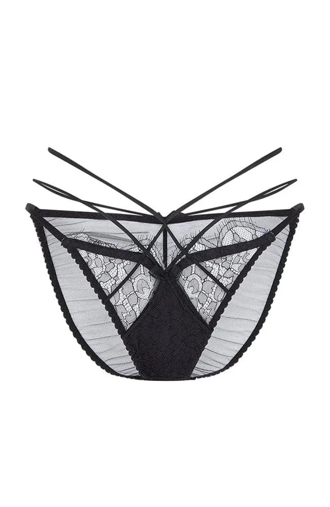 Halley Brief