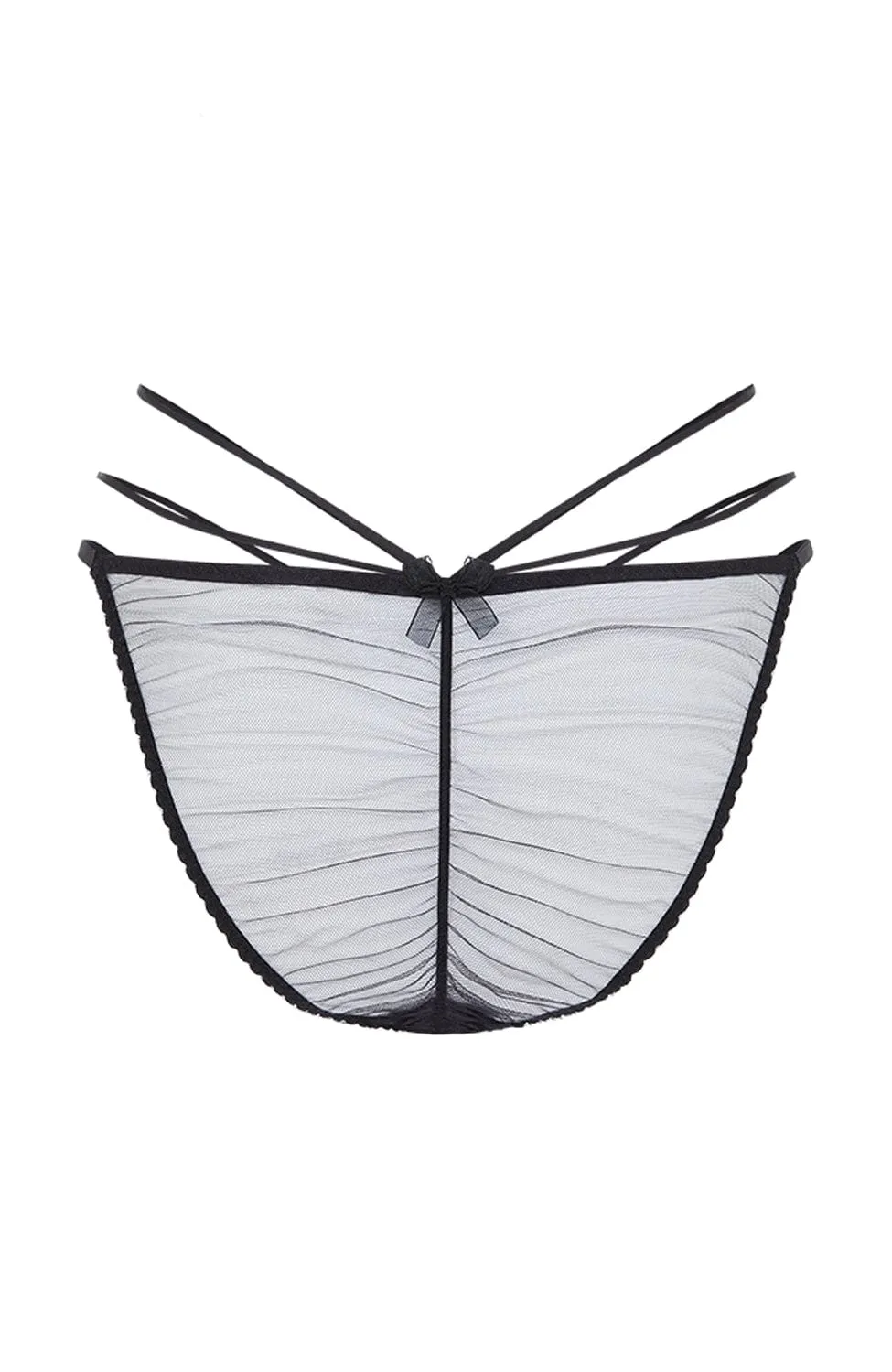 Halley Brief