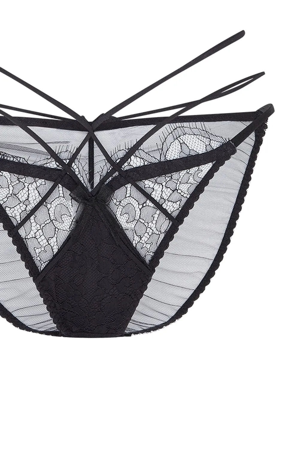 Halley Brief