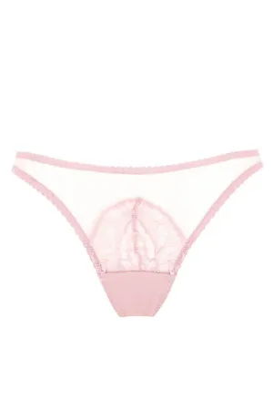 Lyla Brief