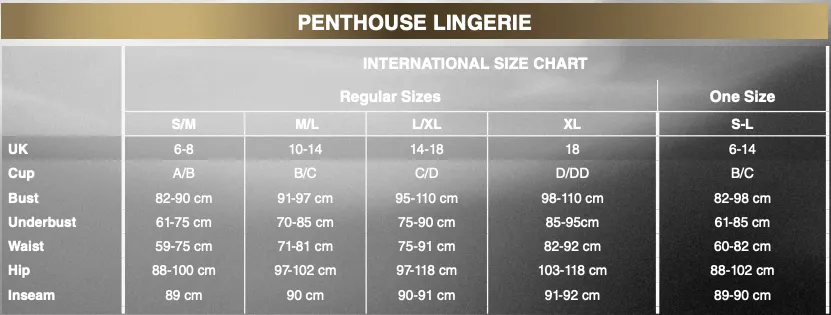 Penthouse - Double Spice Lace Triangle Lingerie Bralette Set